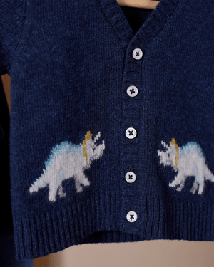 Chelsea Clothing Company Cardigan Baby Dinosaur Cardigan