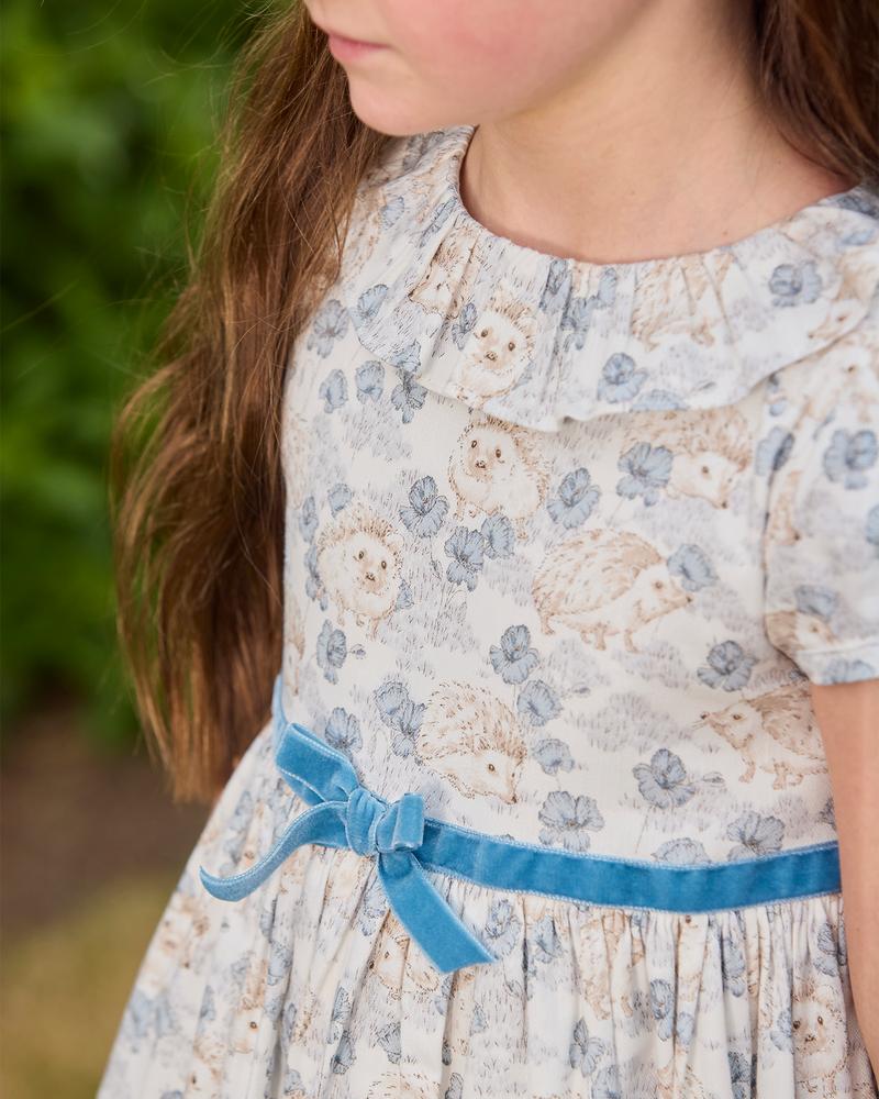 Hollie Hedgehog Dress