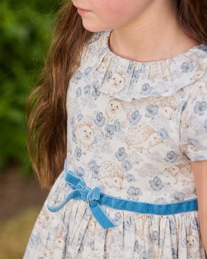 Hollie Hedgehog Dress