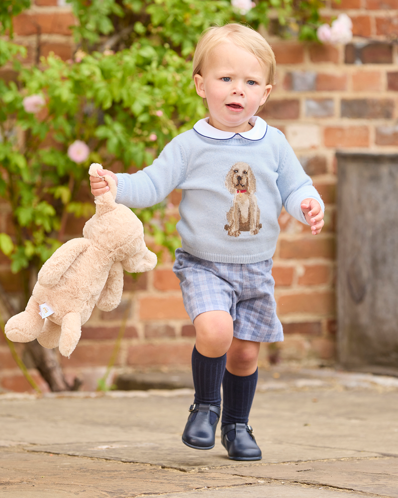 Baby Puppy Sweater in Icy Blue