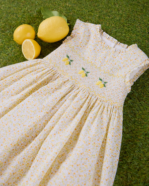 Lemon Smocked Dress