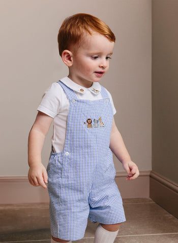 Baby Alexander Bib Shorts in Blue Gingham