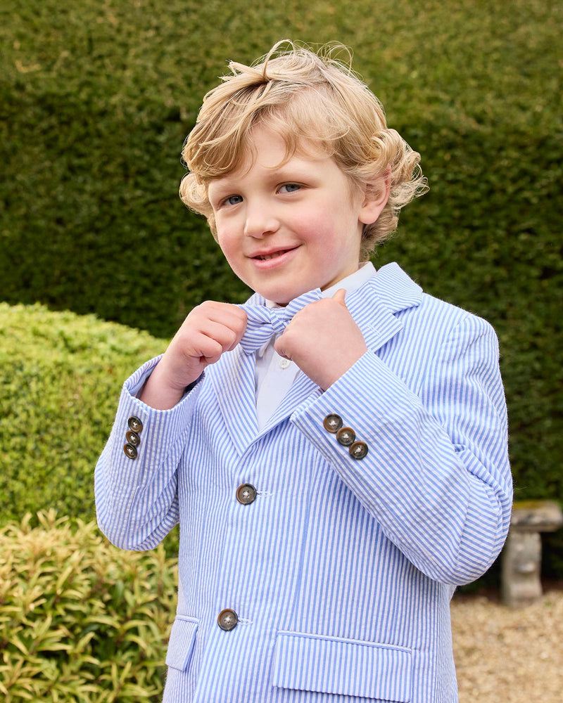 Sebastian Blazer in Pale Blue Stripe