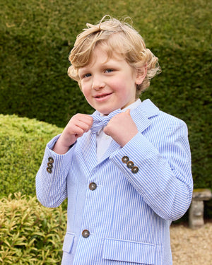 Sebastian Blazer in Pale Blue Stripe