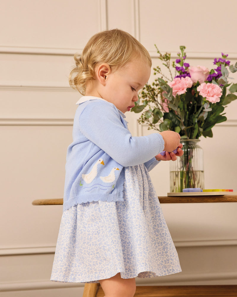 Baby Catherine Smocked Dress in Blue Floral