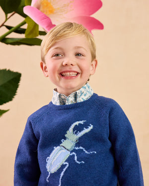 Bug Sweater