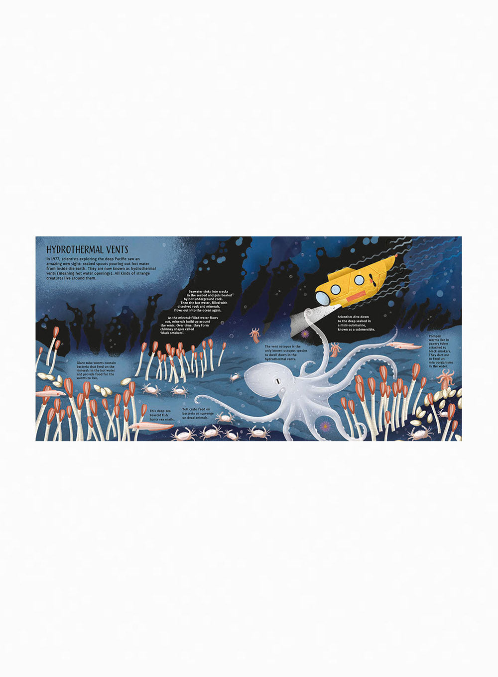 Pop-Up Planet: Oceans Book | Trotters Childrenswear – Trotters