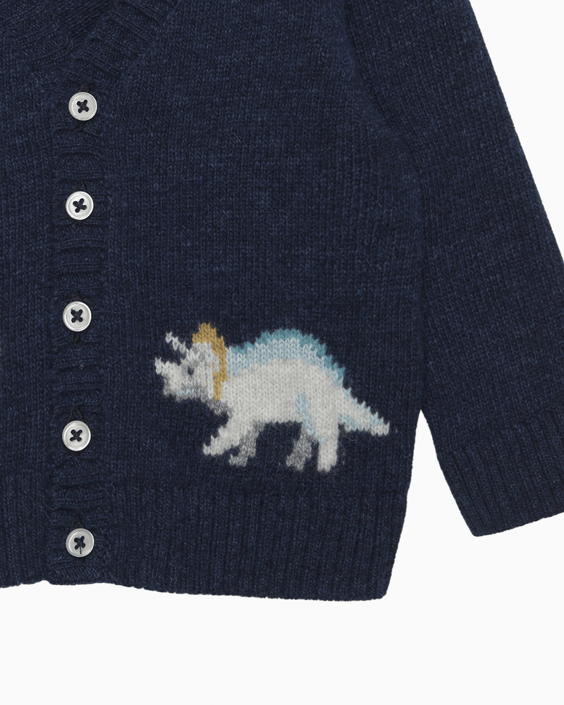 Chelsea Clothing Company Cardigan Baby Dinosaur Cardigan