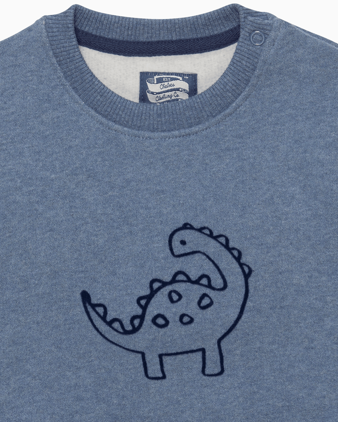 Chelsea Clothing Company Sweatshirt Baby Dinosaur Sweatshirt