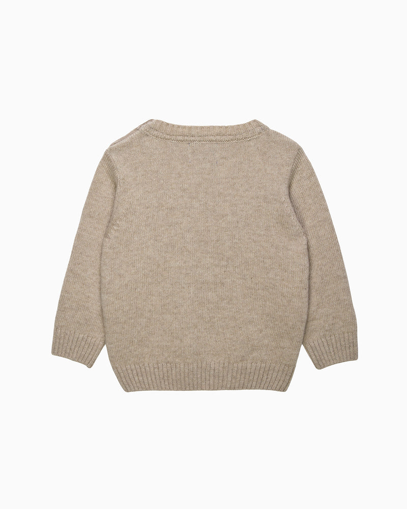 Baby Dippy & Pterodactyl Sweater