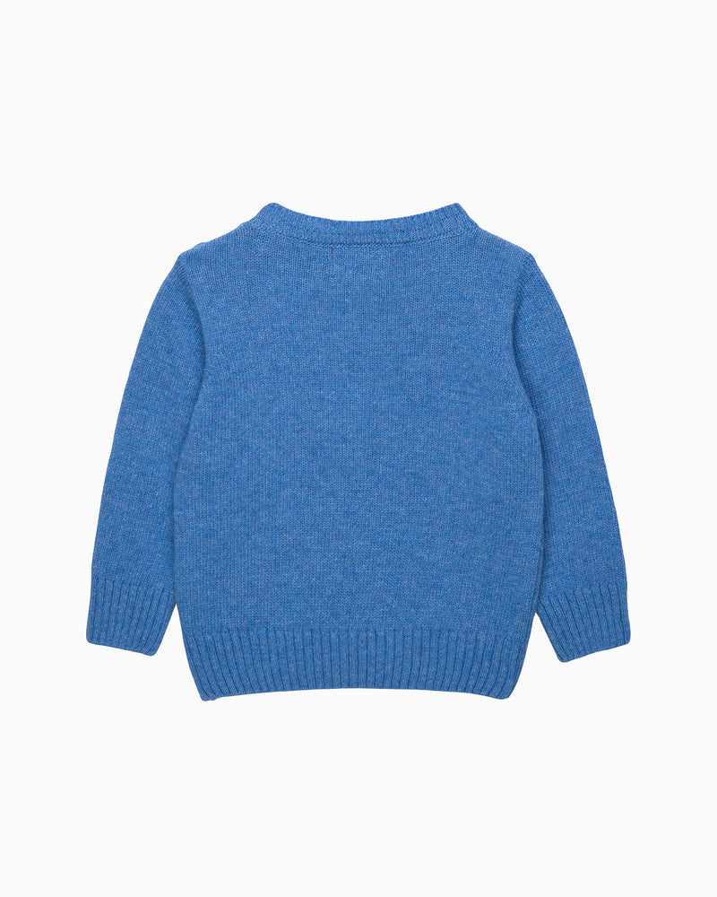 Baby Sebastian Car Sweater