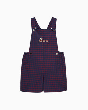 Chelsea Clothing Company Bib Shorts Baby Alfie Bib Shorts in Train