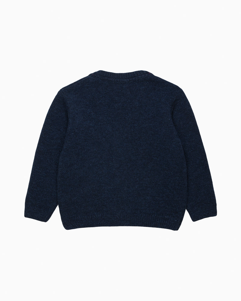 Baby Puppy Cardigan