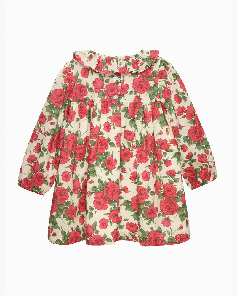 Baby Carline Rose Willow Dress