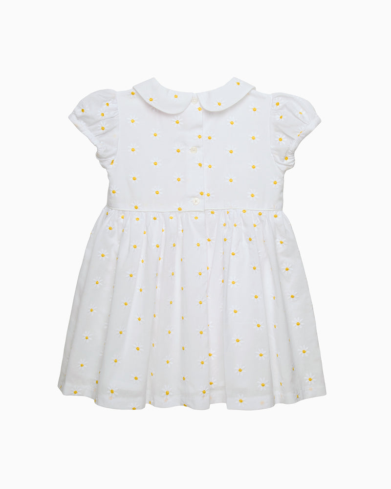 Baby Pretty Daisy Dress