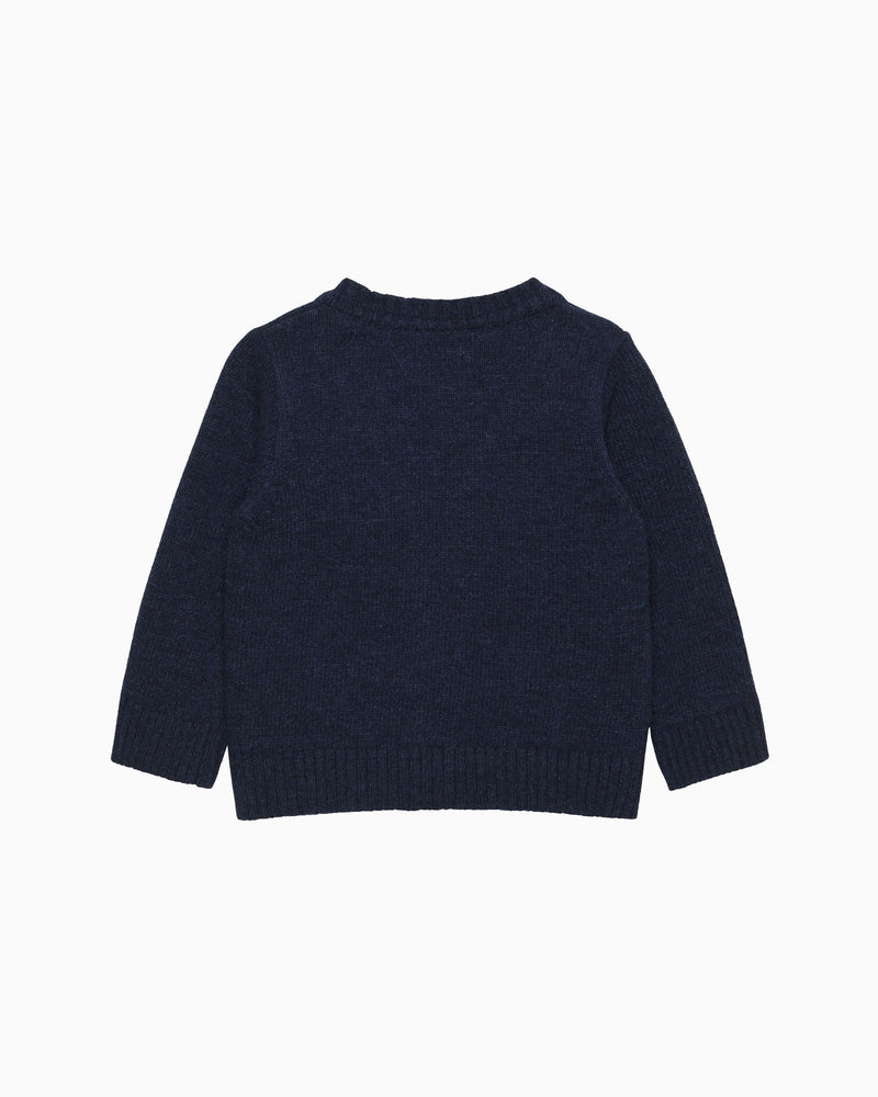 Chelsea Clothing Company Cardigan Baby Dinosaur Cardigan
