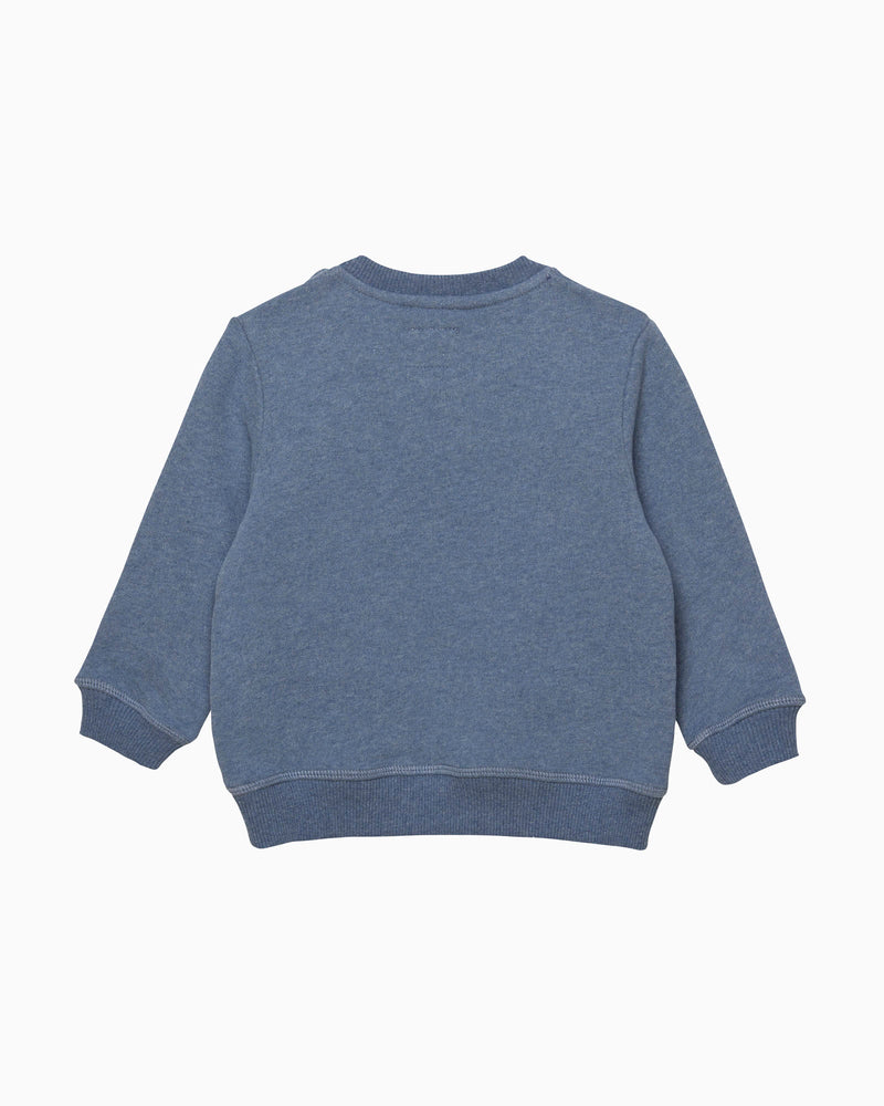 Chelsea Clothing Company Sweatshirt Baby Dinosaur Sweatshirt