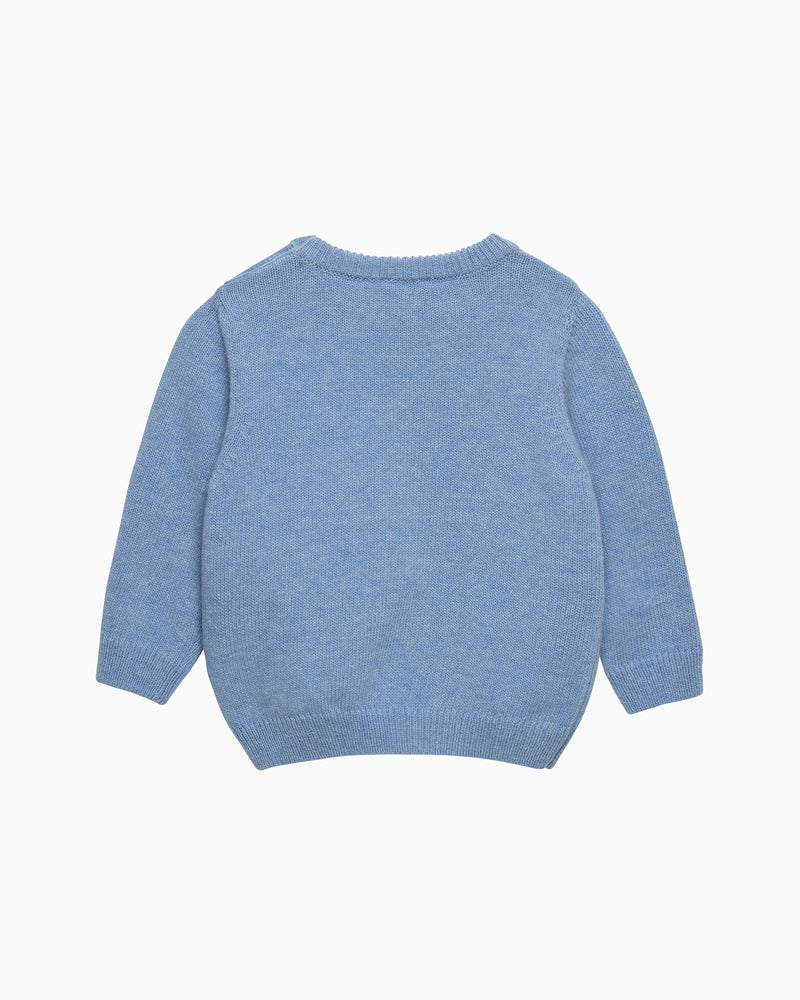 Baby Timmy Turtle Sweater