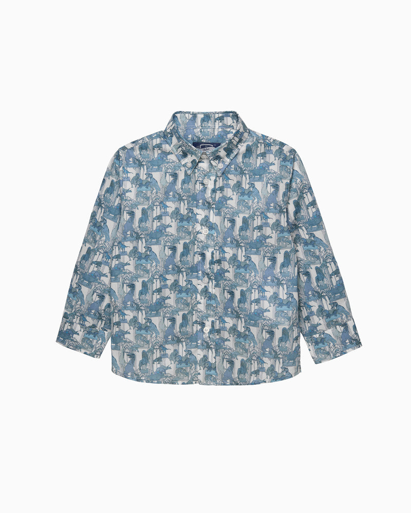 Dinosaur Shirt