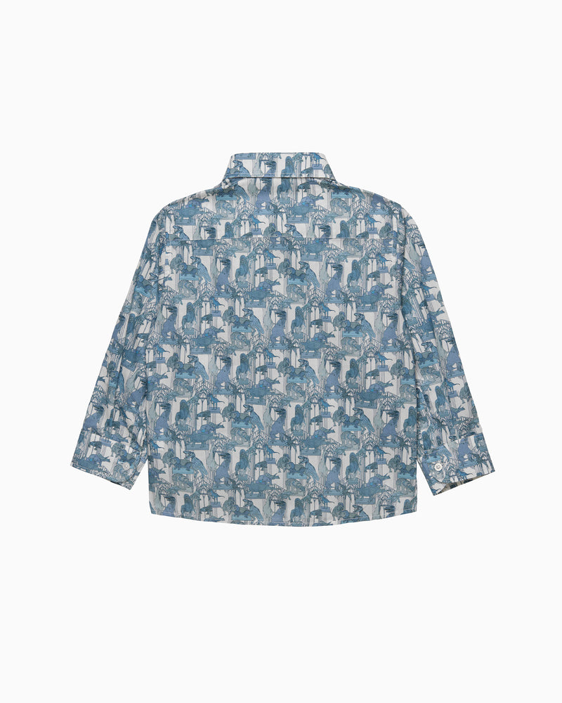 Dinosaur Shirt