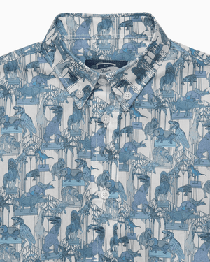 Dinosaur Shirt