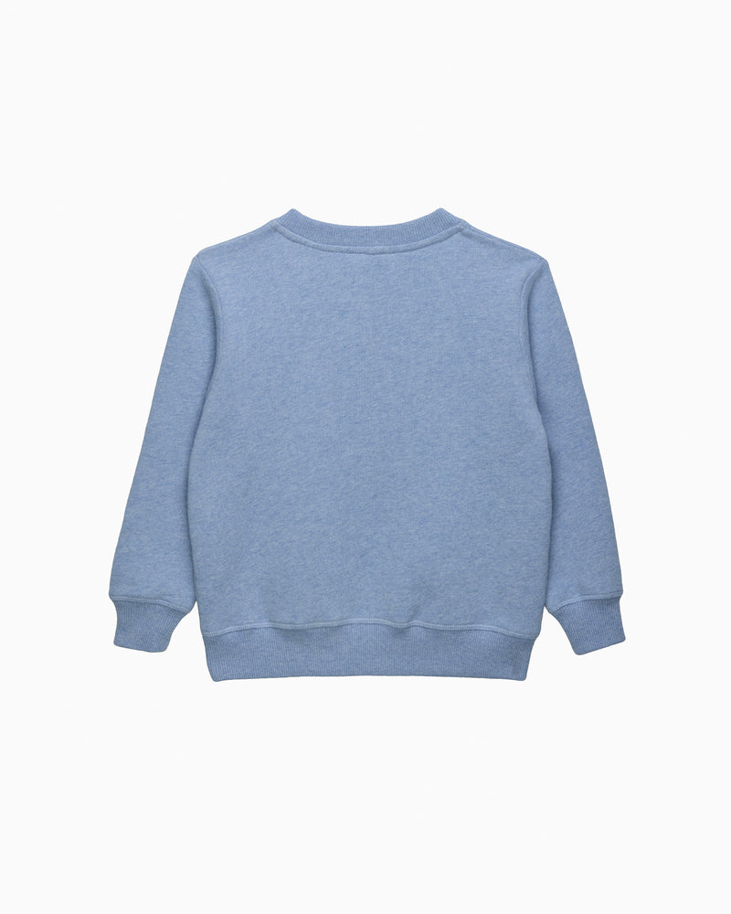 Chelsea Clothing Company Sweatshirt Stegosaurus Sweatshirt