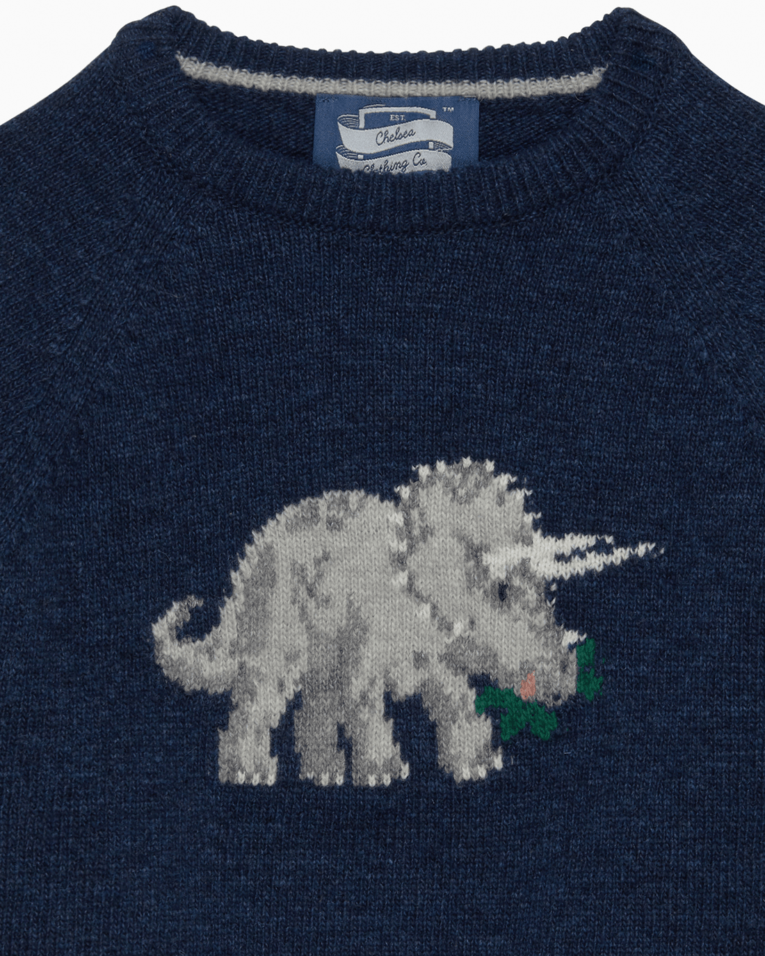Chelsea Clothing Company Jumper Triceratops Jumper