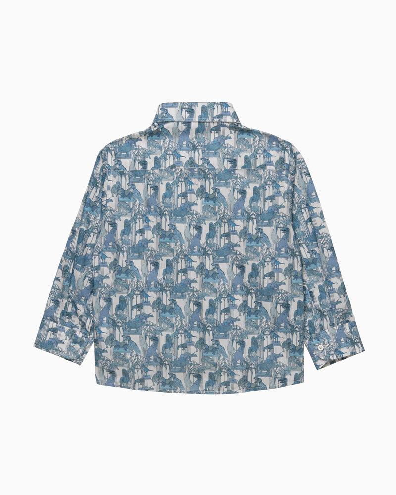 Dinosaur Shirt
