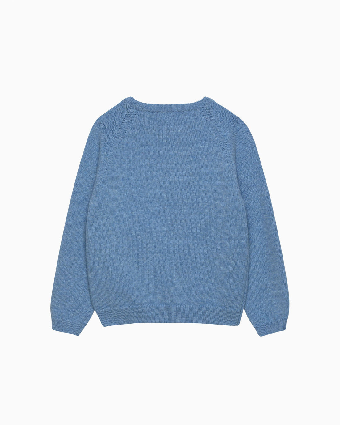Chelsea Clothing Company Jumper T-Rex Jumper