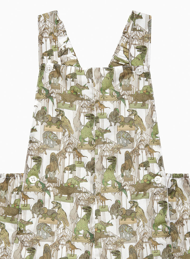Baby Dinosaur Bib Shorts