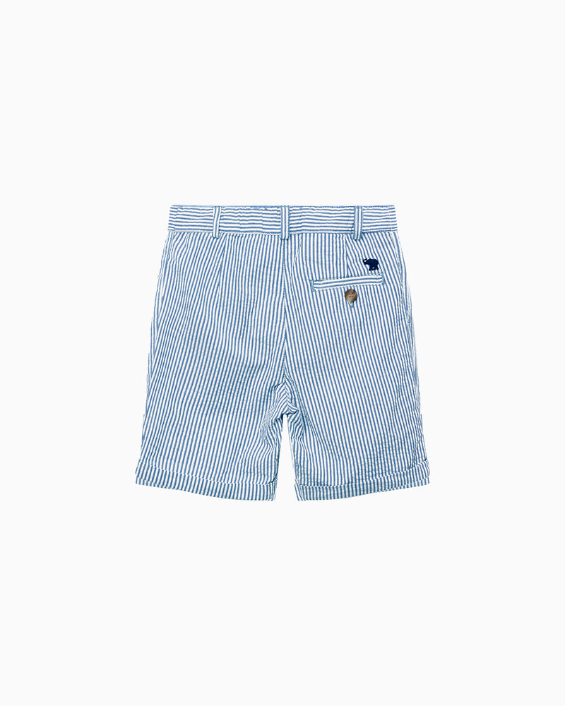 Charlie Chino Shorts in Blue Stripe
