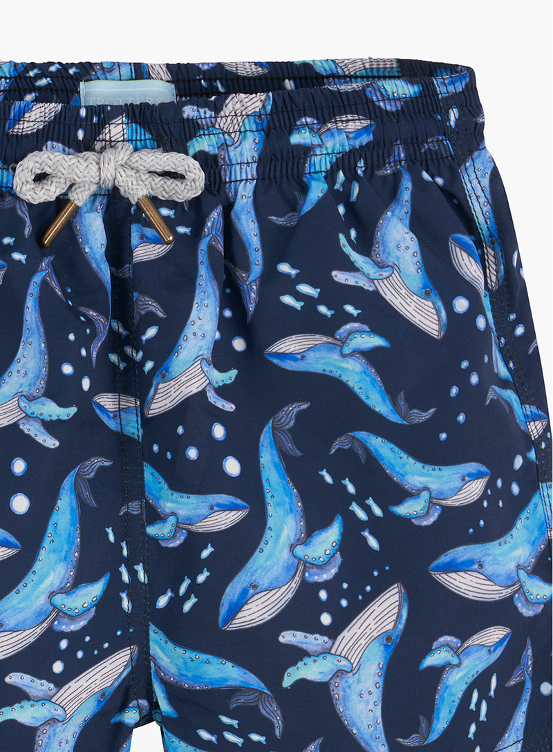 Baby Swimshorts in Whale