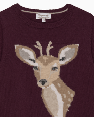 Confiture Jumper Dasher Jumper in Claret