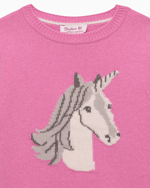 Confiture Jumper Magical Unicorn Jumper