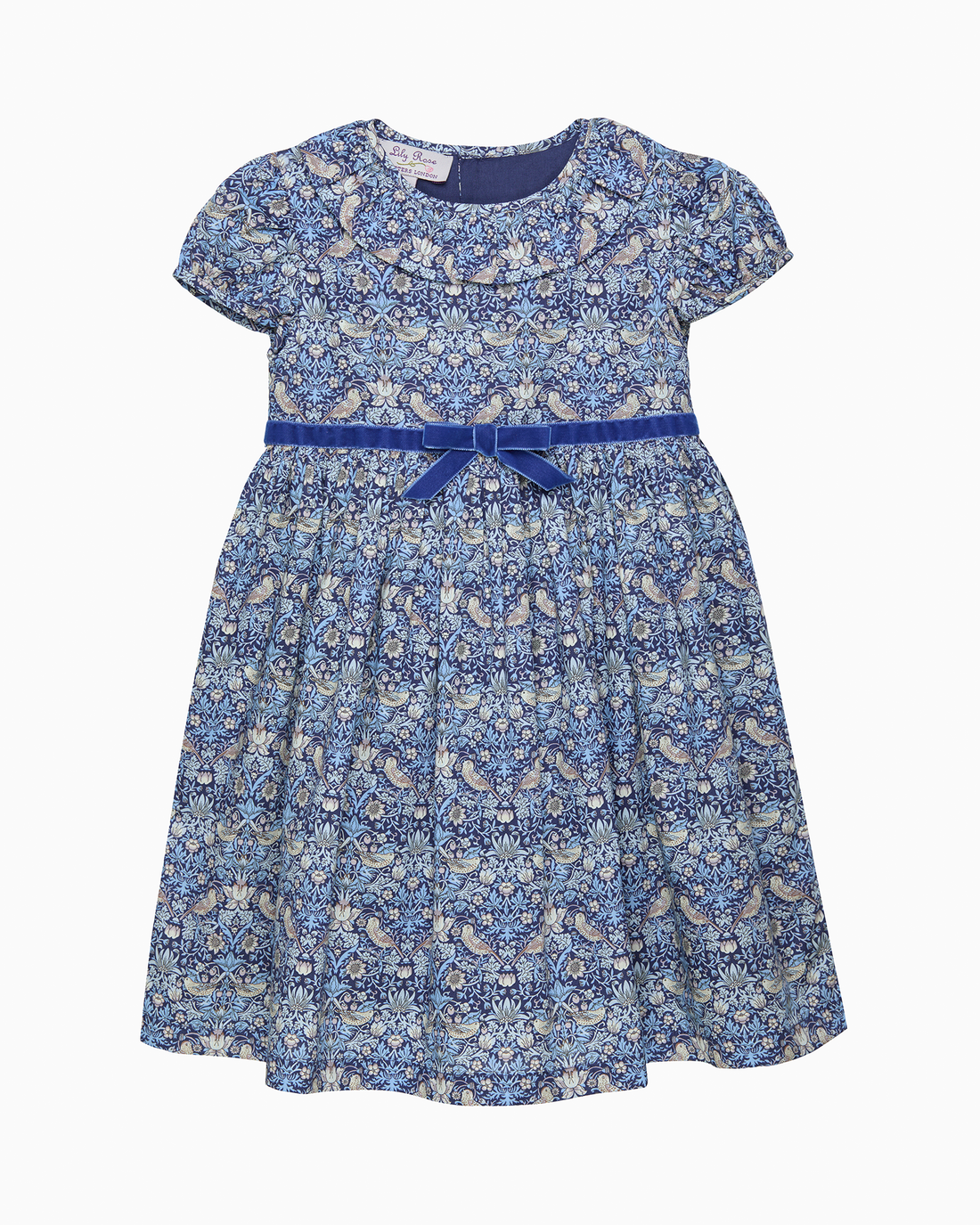 Lily Rose Dress Strawberry Thief Dress