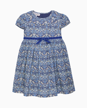 Lily Rose Dress Strawberry Thief Dress