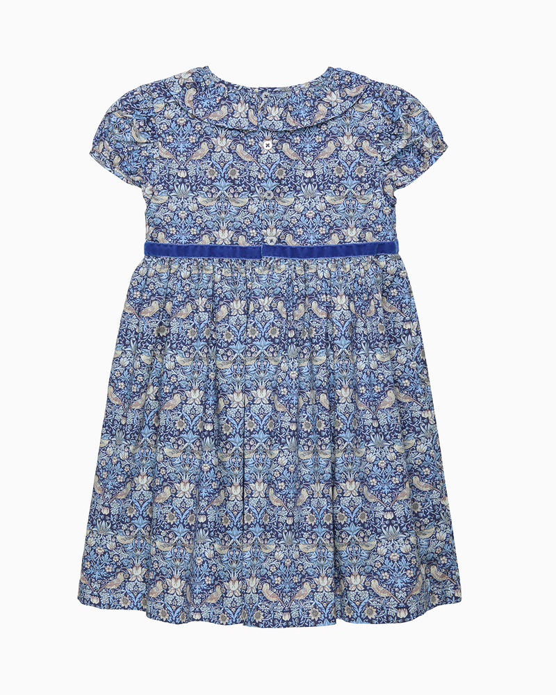 Lily Rose Dress Strawberry Thief Dress