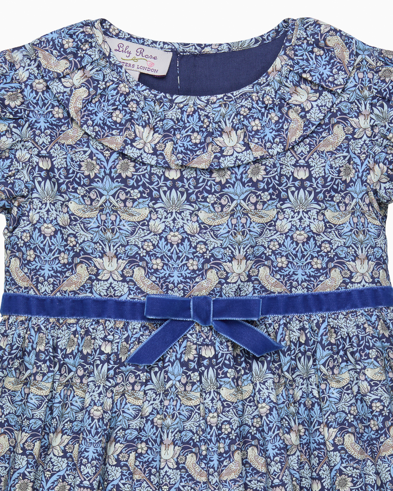 Lily Rose Dress Strawberry Thief Dress
