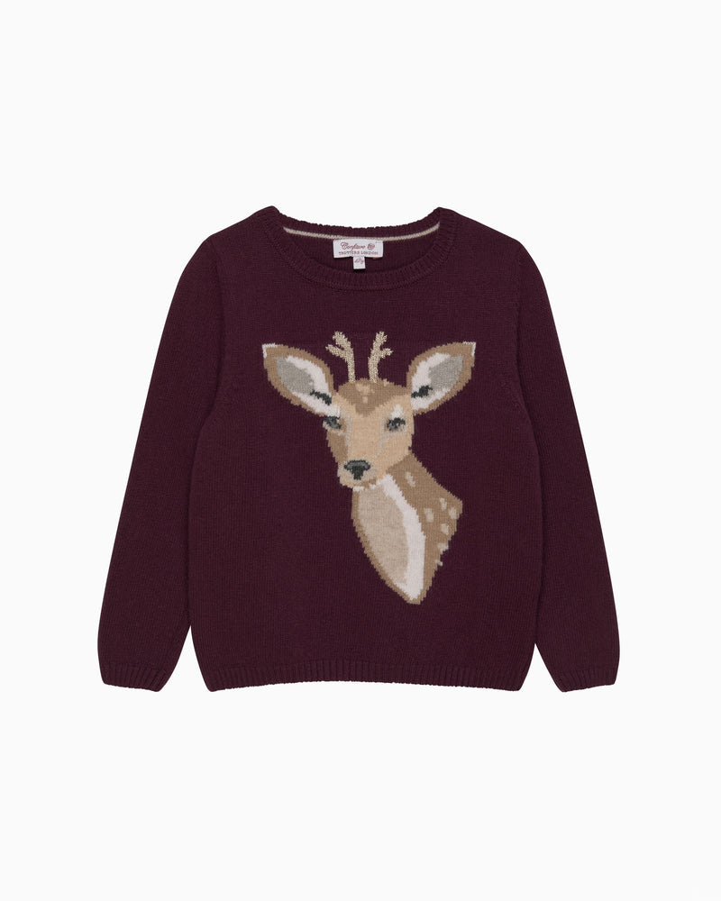 Confiture Jumper Dasher Jumper in Claret