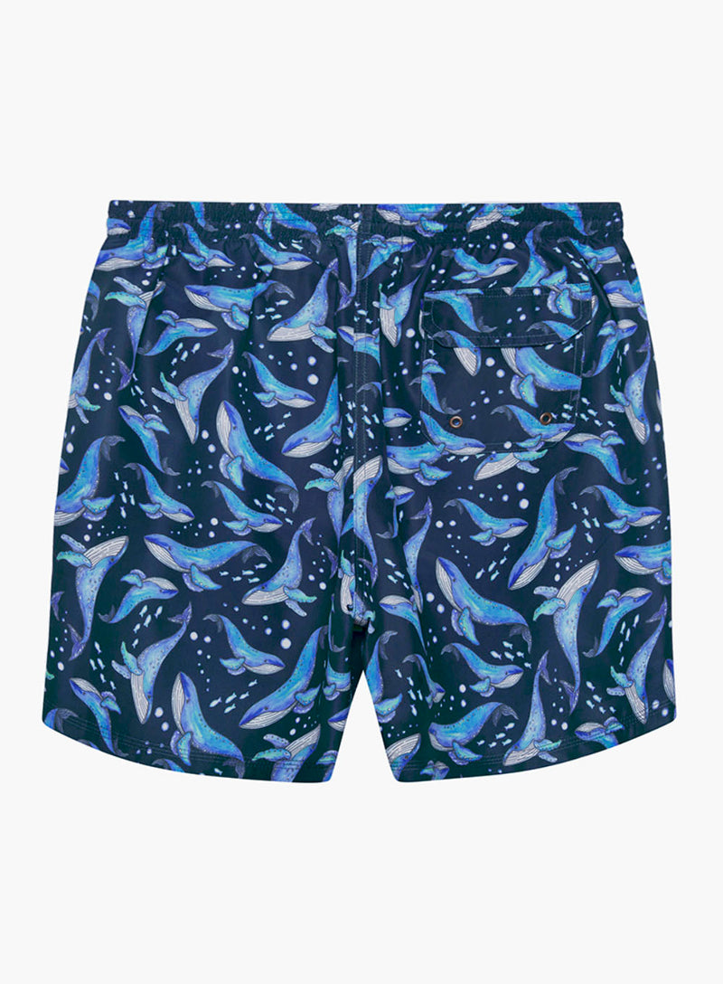 Mens Daddy & Me Swimshorts in Whale