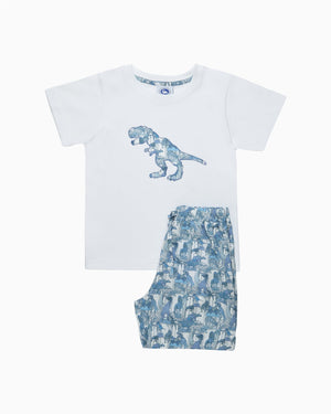 Original Pajama Company Pajamas Dinosaur Jersey Pajamas