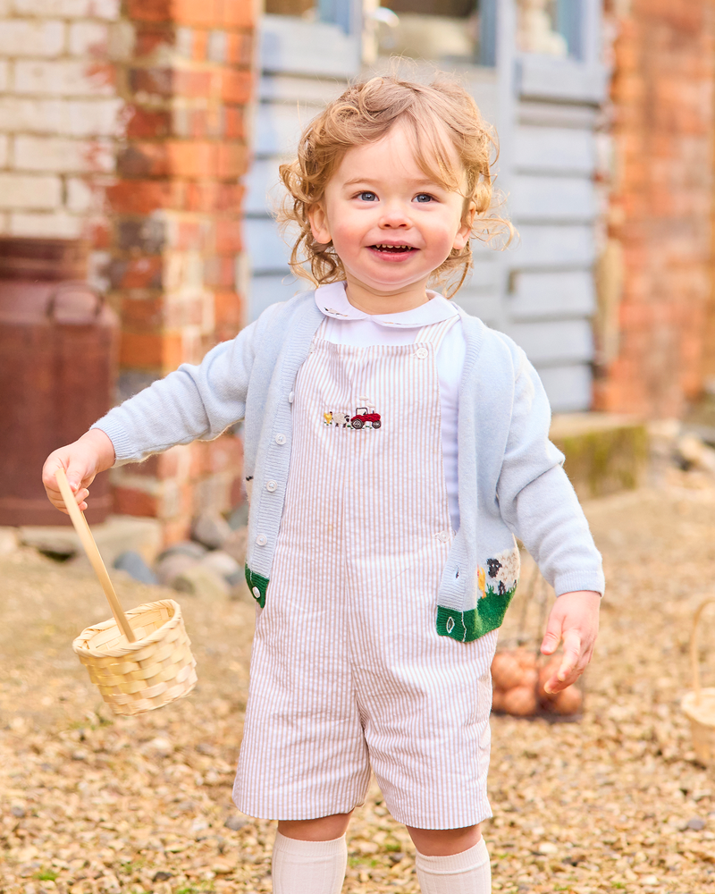 Baby Alexander Bib Shorts in Oatmeal Stripe