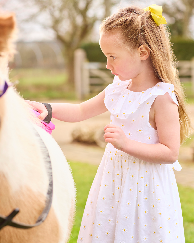 Daisy Wide Willow Dress