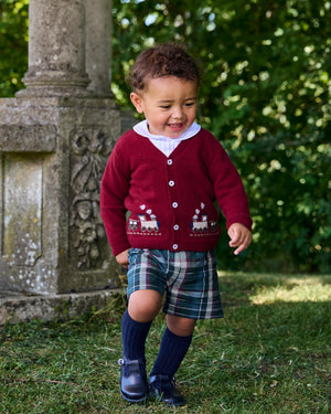Chelsea Clothing Cardigan Cardigan Baby Tarquin Train Cardigan
