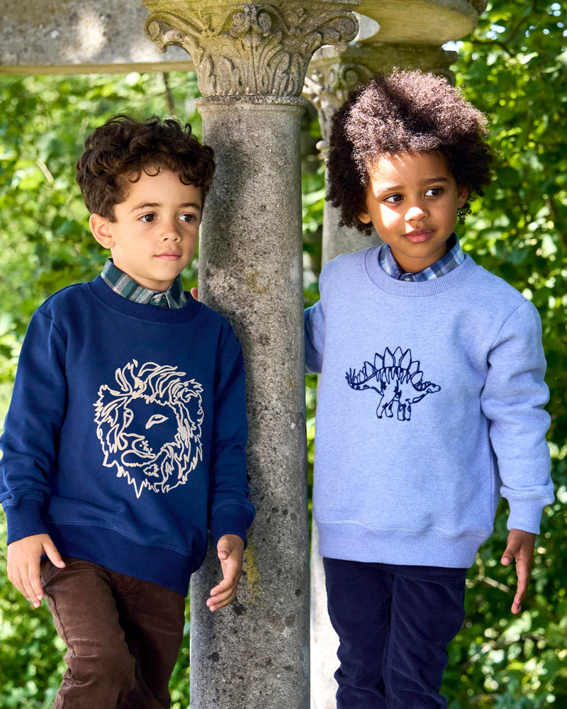 Stegosaurus Sweatshirt