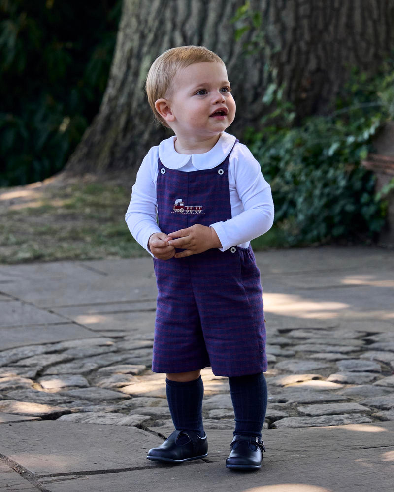 Baby Alfie Bib Shorts in Train
