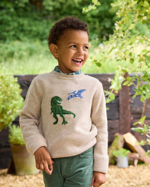 T-Rex & Pterodactyl Sweater