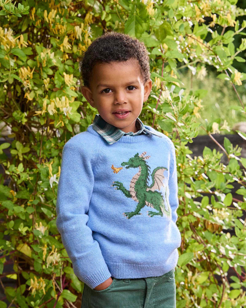 Dragon Sweater