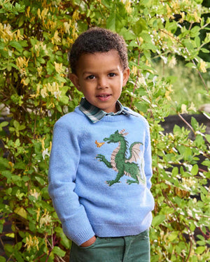 Dragon Sweater