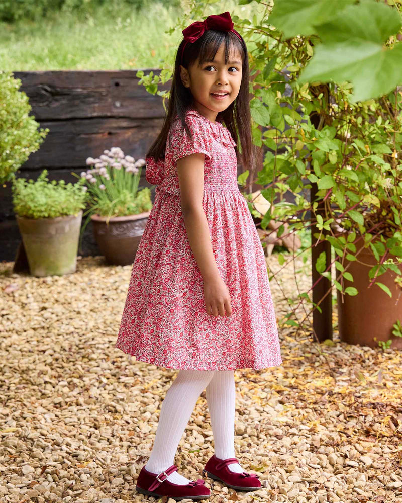 Smocked Dress in Emma & Georgina